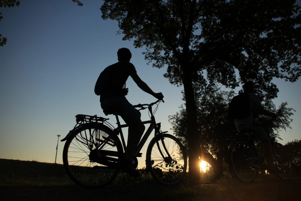 How To Choose The Best Bicycle Accident Attorney In The Bay Area